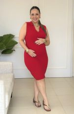 moda gestante gravida roupa amamentação mãe gestação agestantevestido (180)